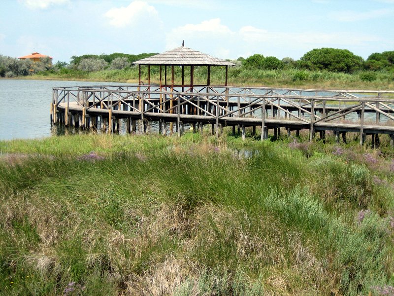 Porto Caleri
