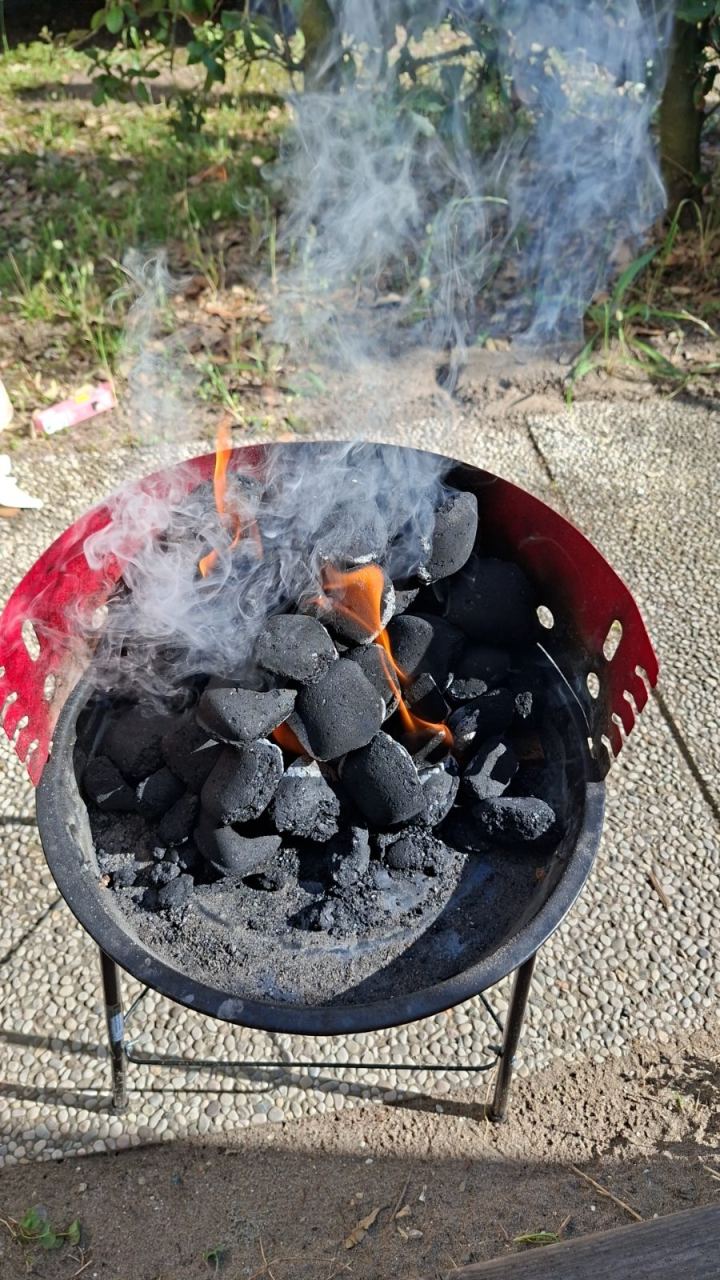 Kohle Grill Team oder Gas Grill Team